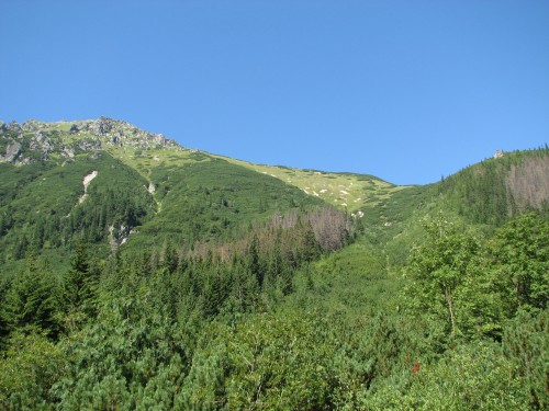 IMG_6753.jpg