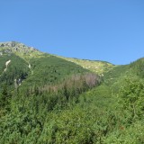 IMG_6753