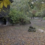 IMG_3839253ec