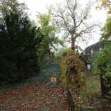 IMG_38418150c