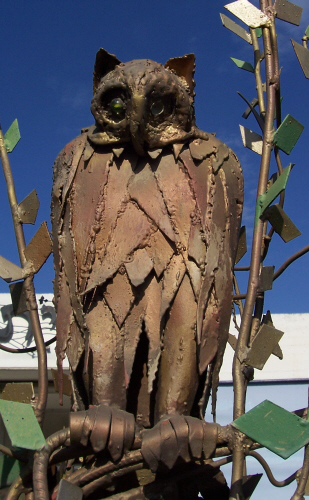 OwlonatreebyShimonDrorybaf96.jpg