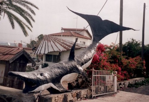 TheWhalebyShimonDrory9a37f.jpg