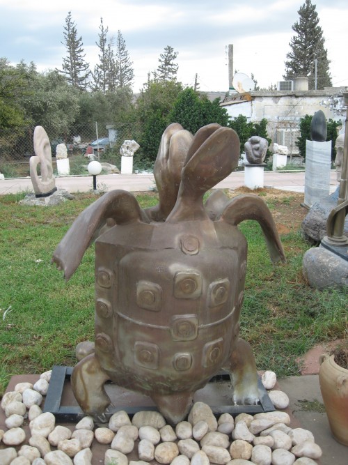 TurtlebyShimonDrory6796d.jpg