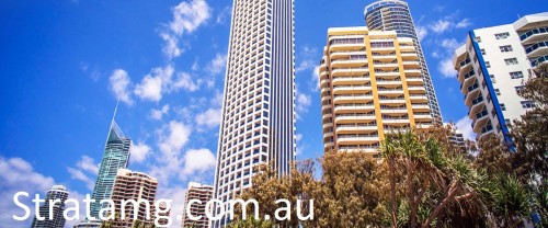 GoldCoastBodyCorporate-117c14.jpg