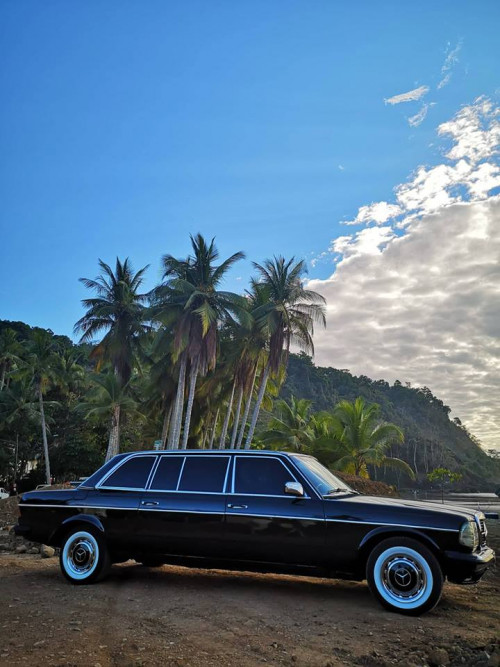 JACO-BEACH-PALM-TREE-LIMOUSINE-COSTA-RICA08f4532d91a3eced.jpg