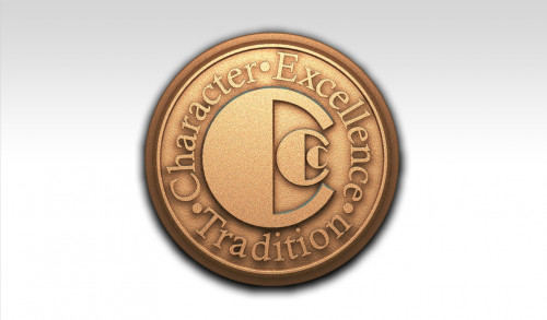 OUTSOURCING-COSTA-RICA-BILINGUAL-CALL-CENTER-AGENTa0883f40e44942af.jpg