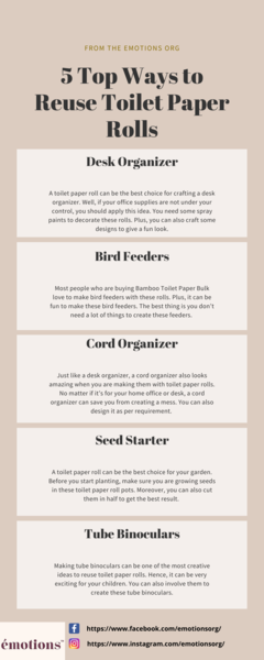 5_Top_Ways_to_Reuse_Toilet_Paper_Rollsdc76b686d228a881.png