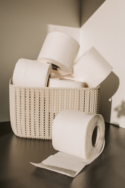 Reusable-Bamboo-Toilet-Paper005dfc523aa53409.jpg