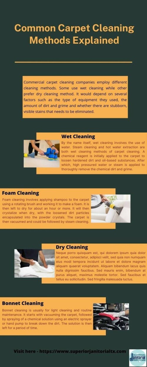 Common-Carpet-Cleaning-Methods-Explainedd483760d1b76a4e4.jpg