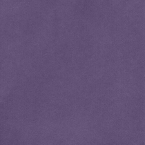 PLUM-SMOOTH---AMERICAN-CRAFTS-12X12-CARDSTOCK526e27b792a7f3ad.jpg