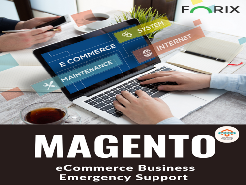 Image-7th---Forixcommerce.com4305be0e29cec923.png