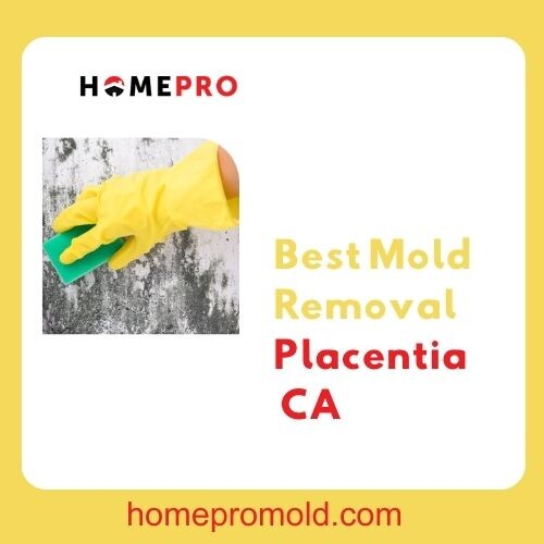 Best-Mold-Removal-Placentia-CA3bedb95da9416464.jpg