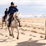 Adventurous-Beach-riding-In-Sydney-Horse-Riding-Now1b83235ff12f1e90