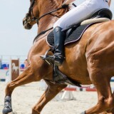 Expert-Horse-Riding-lessons-In-Mornington-Horse-Riding-Nowd72a927b214e4243