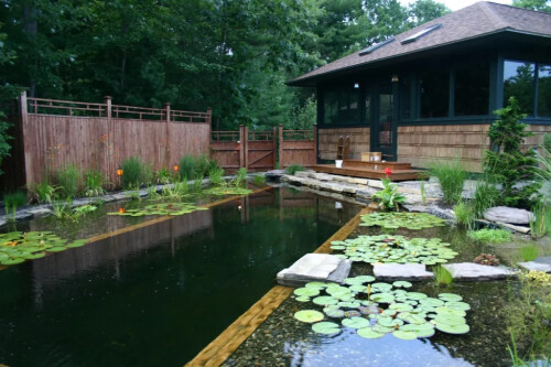 Unique-Backyard-Poolsaf48e028a50f6989.jpg