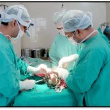 Deformity-Correction-Treatment-for-Children-and-Adultsa5f6b61ec90f5b8a