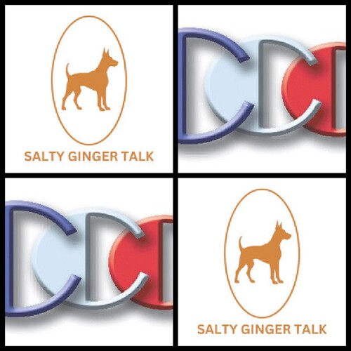 Salty-Ginger-Talk-Interview-guest-expert-Richard-Blank-Costa-Ricas-Call-Center.10687a736074918b.jpg