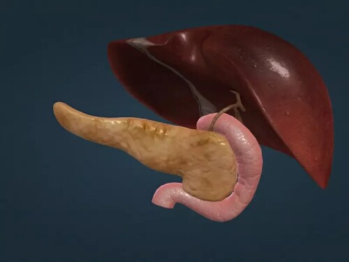 Gall-Bladder-in-Indore0ec89dd997af6c94.jpg