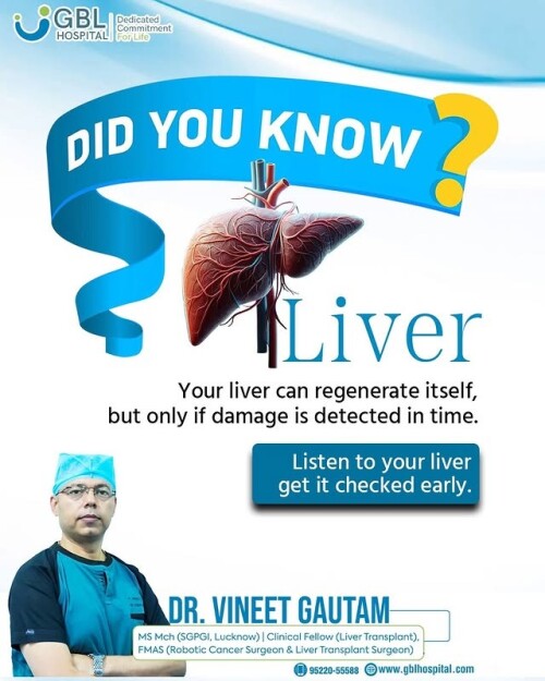 Did-You-Know-Your-Liver-Can-HealIf-Checked-on-Timeba37657a4ba04a84.jpg
